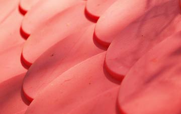 Strode plastic roof costs